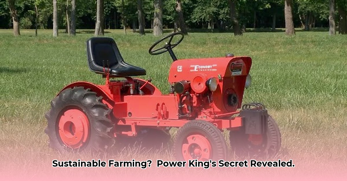 power-king-economy-tractor
